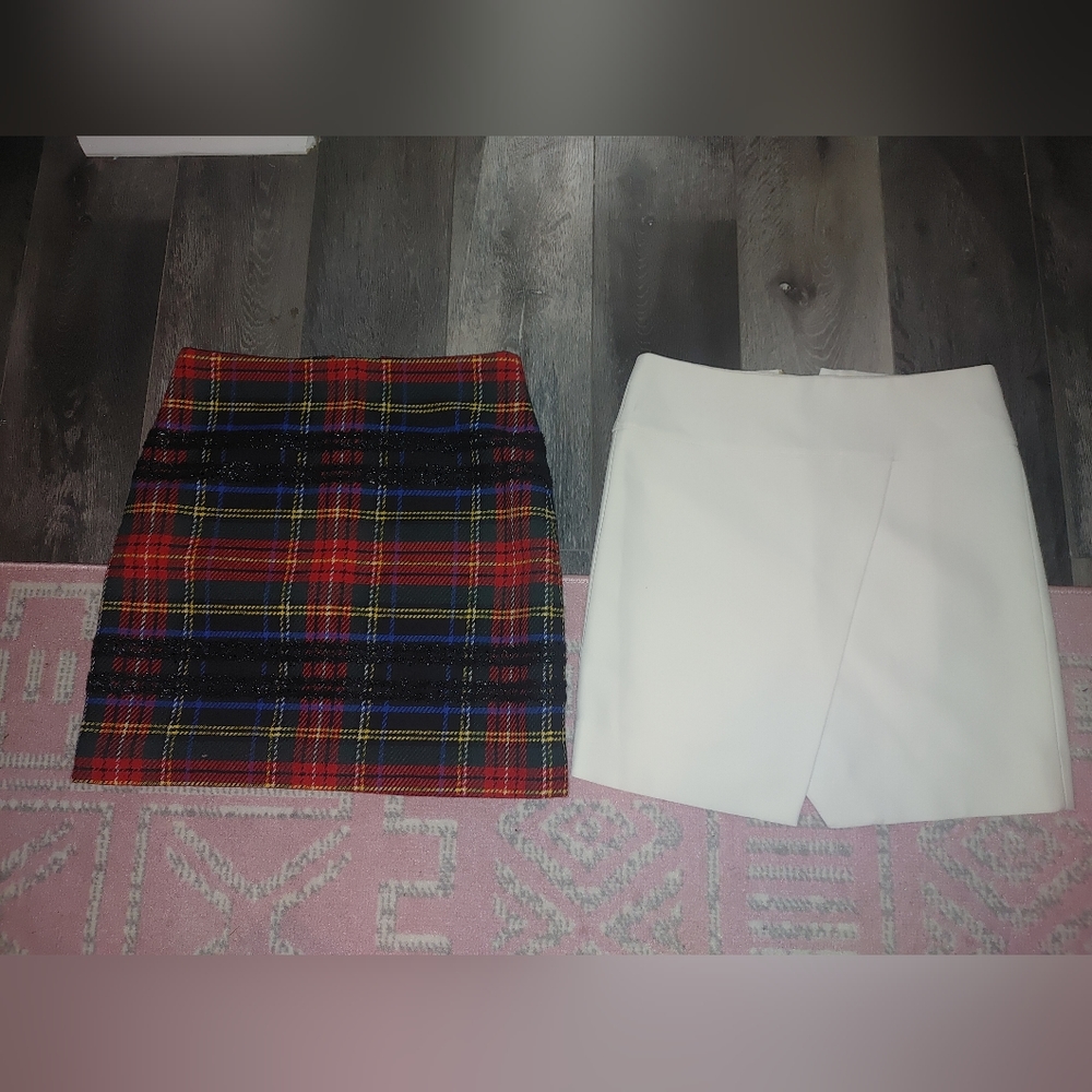 Professional Skirt Bundle - image 1